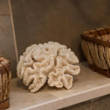 & Lady O Vendégház